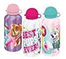 Load image into Gallery viewer, PAW Patrol  Aluminium Drinks Bottle PAW Flask